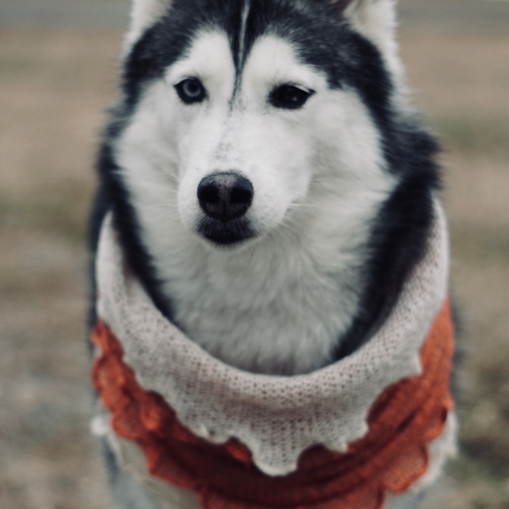 NOT FOR SALE- More about your posher!!!